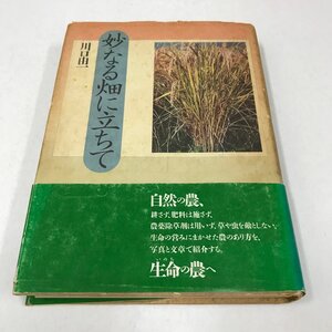 NB/L/妙なる畑に立ちて/川口由一/野草社/1990年12月 第3刷/傷みあり