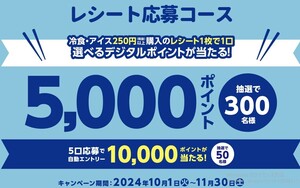 ■個数2■フローズンアワードキャンペーン■電子ギフト5000p■paypayギフト/Vポイント/dポイント/ナナコポイント他■レシート懸賞応募■