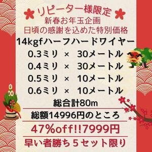 限定5 大特価 新春お年玉企画 14kgf ハーフハードワイヤー 4種計　80m　ラウンドワイヤー　ハンドメイド素材　０．３ｍｍ　０．６ｍｍ