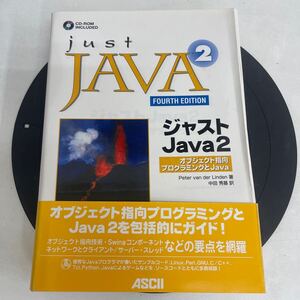 HG630. 133. ジャストJava2: オブジェクト指向プログラミングとJava (ASCIIサンソフトプレスシリーズ). ROM無し