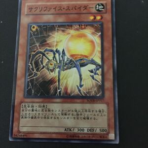 遊戯王カード サクスファイススパイダー