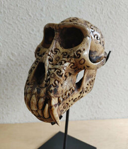19世紀頃インドネシア カリマンタン島 サンッピト 首狩り族の一族 ダヤック族のカニ食い猿の頭骨透かし彫り 呪術師の首飾り呪術具　