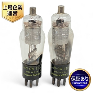 Western Electric JAN-CW-310A ラージ メッシュ 2本セット 未使用 Z8954776