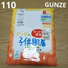 【新品未使用】GUNZE　キッズ男の子　半袖肌着　2枚組 110cm