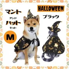 ハロウィン 衣装 マント 帽子 ブラック M 犬 猫 ドラキュラ 魔女 魔法使い