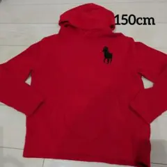 Polo Ralph Lauren 赤 パーカー 150cm