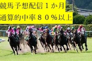 【競馬予想】●重賞レースの馬券予想配信１か月●通算的中率８０％以上●