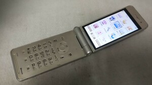 D4858 docomo FOMA P-01F Panasonic パナソニック ガラケー 折り畳み式 簡易動作確認＆簡易清掃＆初期化OK 判定○ 現状品 送料無料　