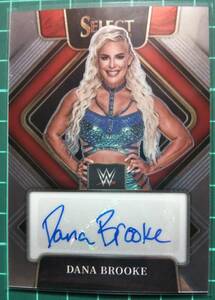 DANA BROOKE　直筆サインカード　美品　プロレスラー　片面キラ