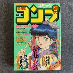 月刊コミックコンプ1989年2月号 最終回暗黒の魔道士/羽衣翔 サイレントメビウス/麻宮騎亜 中津賢也 伊東岳彦 MEIMU 地球防衛少女イコちゃん