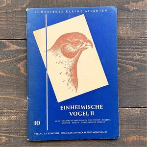 ドイツの古い鳥類図鑑(EINHEIMISCHE VOGEL Ⅱ)/アンティーク ヴィンテージ ヨーロッパ 洋書 鳥図鑑 鳥の絵 鳥のイラスト 雰囲気◎/