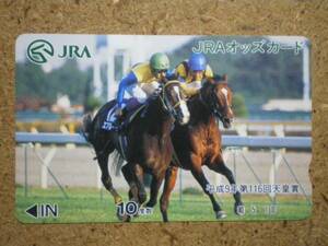 I346B・エアグルーヴ 競馬 10度数 オッズカード