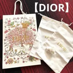 【DIOR】2024ホリデー限定ショッパー　チャーム　保存袋