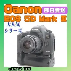 限定価格✨Canon　EOS　５D　Mark　Ⅲ　35-80　標準　簡単　美品