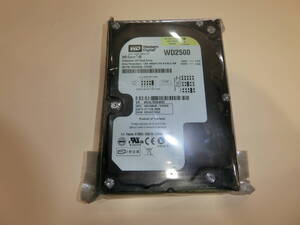 新品　WesternDigital WD2500JB　250GB　 HDD 3.5インチ IDE 未使用　