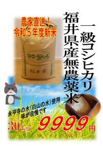 【令和5年度新米】無農薬福井県産１級コシヒカリ★約30kg玄米★エコファーマー認定