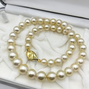 【テリ抜群】南洋真珠 ゴールデン パール ネックレス 8mm〜11.7mm 47cm SILVER 刻印 63.9g 本真珠 pearl jewelry necklace 白蝶 シロチョウ