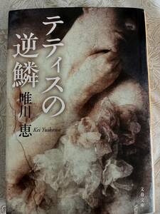 　文庫本　唯川　恵著「テティスの逆鱗」美容整形に染まる女性は何処まで美を追求するのか・・・