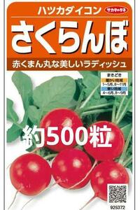 未開封＜野菜種＞約500粒　ハツカダイコン　さくらんぼ　二十日大根　ラディッシュ