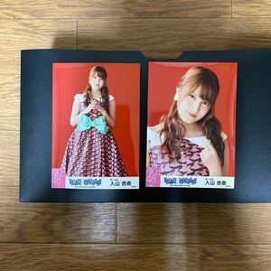 AKB48 入山杏奈 写真 VILLAGE VANGUARD 2種