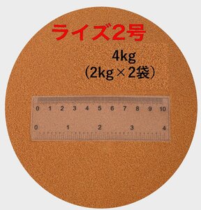 日清丸紅飼料 ライズ2号 2kg ×2袋(4kg) 新品未開封 粒径約0.36mm メダカ めだか エサ 餌 おとひめ ハイグロウ リッチ