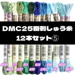 DMC25 刺しゅう糸 #25 12本セット⑤