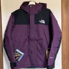 THE NORTHFACE マウンテンダウンジャケット