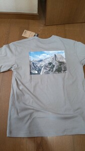 国内正規 新品未使用タグ付 ノースフェイス 半袖Tシャツ NT32331A ミネラルグレー L レターパックライト370円