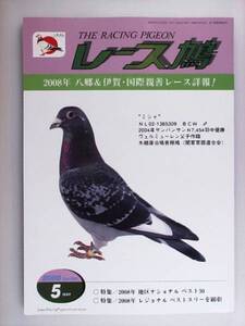 レース鳩 THE RACING PIGEON 2008年5月 ハトはと