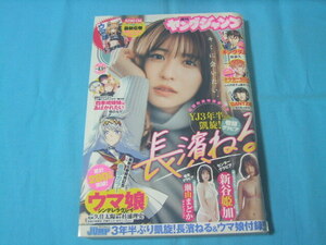 ★中古■週刊ヤングジャンプ2022年 No.13号■長濱ねる/新谷姫加/瀬山まどか/ウマ娘６巻別ver.カバー付/巻頭カラー ウマ娘シンデレラグレイ