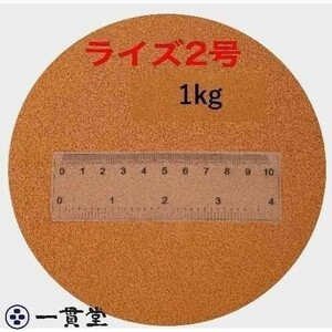 ライズ2号 1kg(500g×2袋） (粒径0.36mm) 小分け品 メダカ めだか エサ 餌 おとひめ ハイグロウ リッチ 送料無料