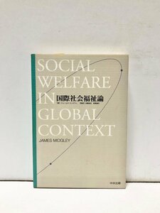 平11 国際社会福祉論 ジェームス・ミッジリィ京極高宣他訳 334P