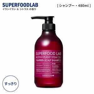 スーパーフードラボ スカルプ シャンプー 無防備な頭皮へ スッキリ ボトル本体 480ml メンズ レディース SUPERFOOD LAB