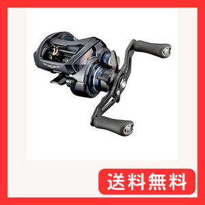 ダイワ(DAIWA) 21 スティーズ A TW HLC 7.1L