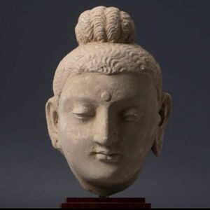 【即決】ガンダーラ美術　仏頭　2〜3世紀