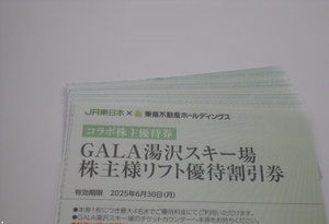 GALA湯沢スキー場 株主様リフト優待割引券1枚　数量9