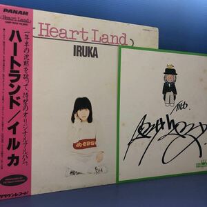 イルカ Heart Land ハートランド サイン色紙付 帯付LP レコード 5点以上落札で送料無料v