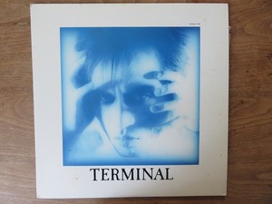 遠藤ミチロウ / TERMINAL / LP / レコード