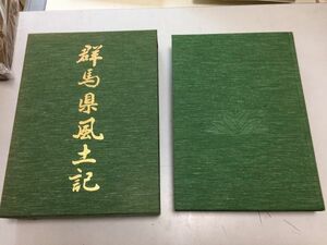 ●A01●群馬県風土記●旺文社●1993年●桐生織物岩宿遺跡新田氏上野三碑新田義貞金山城伝統文化遺産絵画彫刻●外箱なし●即決