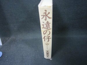 永遠の仔　上　天童荒太　幻冬舎　カバー無シミ有/EEZH