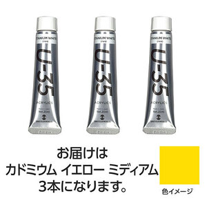 【3本×3セット】 ターナー色彩 U35 カドミウムイエローミディアム20ml TURNER108634X3 /l