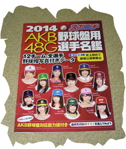 ◆ＡＫＢ４８◆野球盤用選手名鑑2014