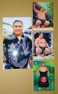 大翔丸 翔伍 BBMカード3枚 + 生写真 トレーディング・カード トレカ 大相撲 追手風部屋 人気力士 相撲