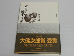 水俣が映す世界　原田正純　大沸次郎賞受賞　単行本