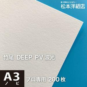 竹尾 DEEP PV 波光 A3ノビ 329×483：200枚 竹尾 紙 絵画紙 水彩紙 印刷紙 写真印刷用紙 インクジェット用紙
