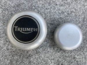 TRIUMPH トライアンフ スピードトリプル用　リヤホイール センターキャップ　左右セット