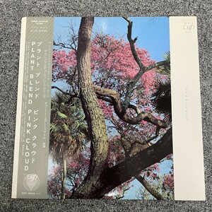 帯付LP/ピンク・クラウド Pink Cloud/Plant Blend/30160-28 /NF101939