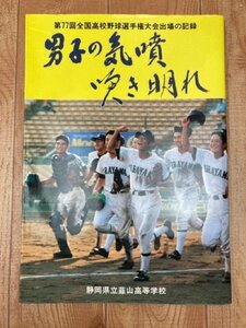 静岡県立韮山高等学校　1995/第77回高校野球出場の記録/甲子園　CIB1066