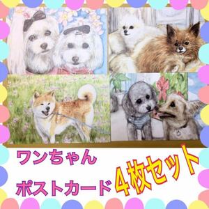 手描きイラスト ポストカード 犬 4枚セットトイプードル 柴犬 ポメラニアン 柴カット マルチーズ 水彩 【あおきしずか】