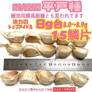 希少　平戸種　8g台　8.0〜8.9g 15燐片(粒) 暖地用　にんにく　にんにくひめ